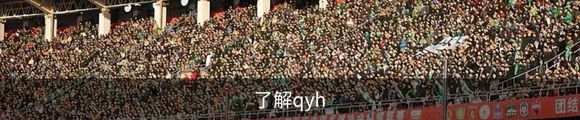 了解qyh
